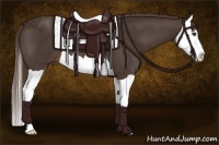 Horse Color:Liver Chestnut Splash 