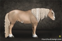 Horse Color:Liver Chestnut Pearl Sabino Rabicano