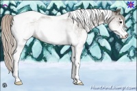 Horse Color:White Spotted Silver Black Tobiano 