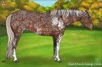 Horse Color:White Spotted Silver Bay Ice 