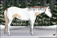 Horse Color:Red Dun Pearl Splash Tobiano 