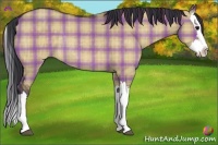 Horse Color:Plaid Bay Dun Splash Rabicano