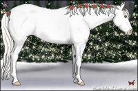 Horse Color:Silver Black Pearl Splash Appaloosa 