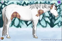 Horse Color:Plaid Bay Splash Tobiano