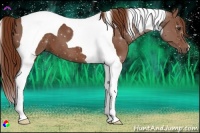 Horse Color:Chestnut Tobiano