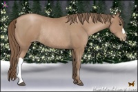 Horse Color:Black Pearl Rabicano 