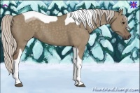 Horse Color:Silver Grullo Tobiano