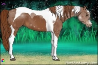 Horse Color:Chestnut Tobiano