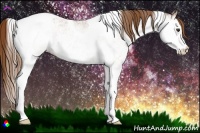 Horse Color:White Spotted Chestnut Tobiano 