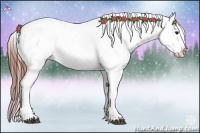 Horse Color:Black Snowflake Varnish