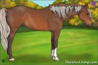 Horse Color:Silver Brown 