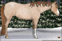 Horse Color:Bay Roan Pearl 