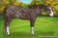 Horse Color:Liver Chestnut Ice Sabino Splash 
