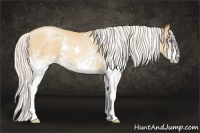 Horse Color:White Spotted Silver Sable Champagne Pearl Splash Rabicano