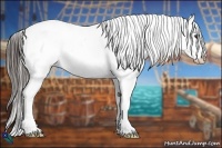 Horse Color:Liver Chestnut Appaloosa Rabicano