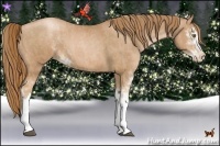 Horse Color:Chestnut Pearl Sabino  Brindle
