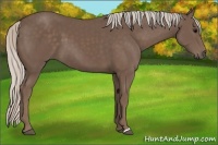 Horse Color:Silver Black 