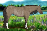 Horse Color:Liver Red Dun Rabicano 