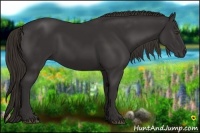 Horse Color:Liver Chestnut Rabicano 
