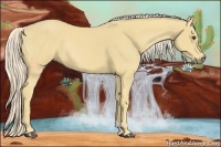 Horse Color:Palomino Rabicano