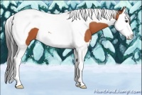 Horse Color:Bay Splash Tobiano