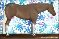 Horse Color:Chestnut Tobiano