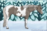 Horse Color:Silver Smoky Black Tobiano Frame 