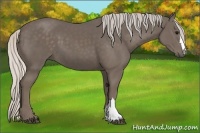 Horse Color:Silver Black 