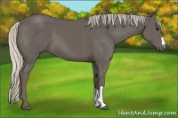 Horse Color:Silver Black 