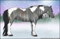 Horse Color:Black Ice Tobiano 
