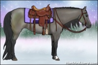 Horse Color:Grullo Rabicano 