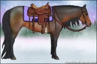 Horse Color:Brown 