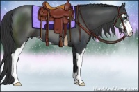 Horse Color:Black Sabino