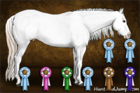 Horse Color:Chocolate Palomino Splash Appaloosa 