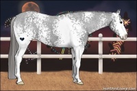 Horse Color:White Spotted Black Varnish