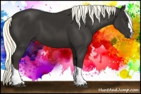 Horse Color:Liver Chestnut Frame 