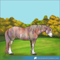 Horse Color:Nacre Liver Chestnut Pearl Sabino 