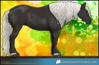 Horse Color:Liver Chestnut Mushroom 