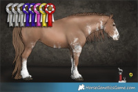 Horse Color:White Spotted Black Pearl