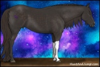 Horse Color:Liver Chestnut Frame