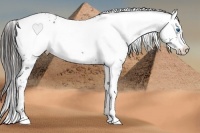 Horse Color:Liver Chestnut Frame 