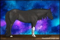 Horse Color:Liver Chestnut Frame 