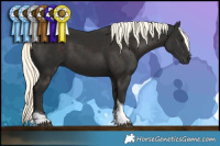 Horse Color:Liver Chestnut Mushroom Tobiano 