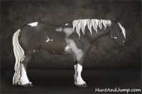 Horse Color:White Spotted Liver Chestnut Tobiano 