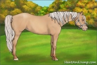 Horse Color:Silver Amber Champagne Frame 