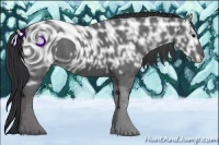 Horse Color:ERROR: UNKNOWN ANOMALY Brindle