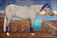 Horse Color:Silver Grullo Roan