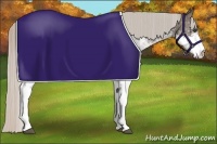 Horse Color:White Spotted Silver Black