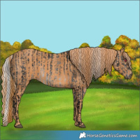 Horse Color:Silver Brown Chinchilla Ice  Brindle