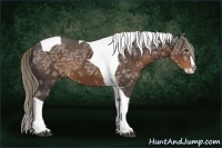 Horse Color:Liver Chestnut Ice Sabino Splash Tobiano
